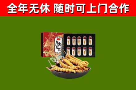 范县回收冬虫夏草价格